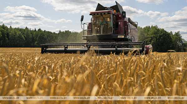 Аграрии республики убрали более 61% посевных площадей проса