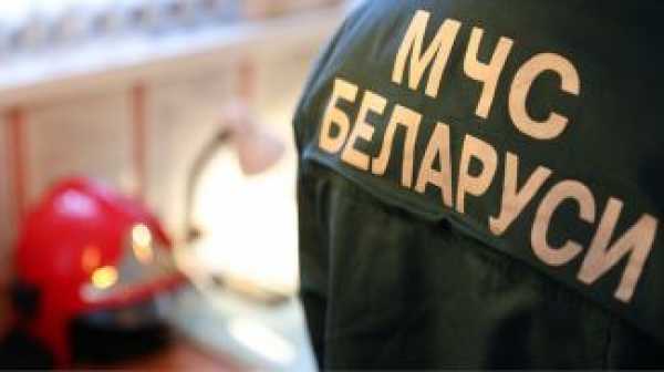 О факторах опасности при сильном ветре рассказали в МЧС