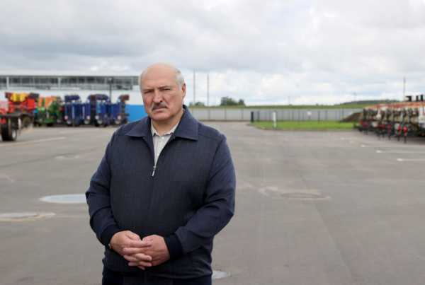 Александр Лукашенко рассказал, почему Беларусь не будет экспортировать зерно