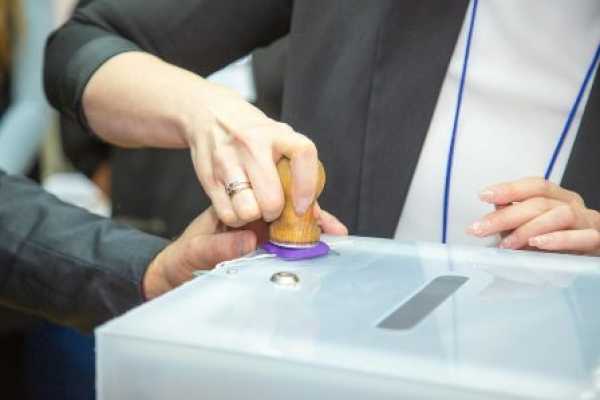 Досрочное голосование по выборам депутатов стартует 20 февраля 2024 г.